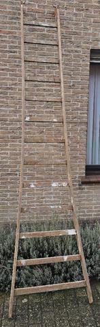 oude ladder voor decoratie - 3m10 - 13 treden - GRATIS, Doe-het-zelf en Bouw, Ladders en Trappen, Ophalen, Gebruikt, Ladder, 2 tot 4 meter