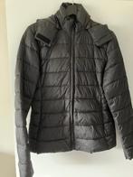 Tussenjas zwart Oysho, Kleding | Dames, Maat 38/40 (M), Oysho, Zwart, Ophalen of Verzenden