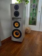 Luidspreker boxen ROGER 8.0, Audio, Tv en Foto, Luidsprekerboxen, Zo goed als nieuw, 60 tot 120 watt, Front, Rear of Stereo speakers