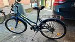 Kinderfiets, Fietsen en Brommers, Ophalen, Gebruikt, 20 inch of meer