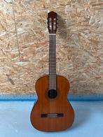 Terada acoustic gitaar, Muziek en Instrumenten, Snaarinstrumenten | Gitaren | Akoestisch, Ophalen, Zo goed als nieuw