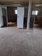 Privé stal te huur, Dieren en Toebehoren, Stalling en Weidegang