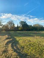 2e snede hooi in plastic, Dieren en Toebehoren, Ophalen
