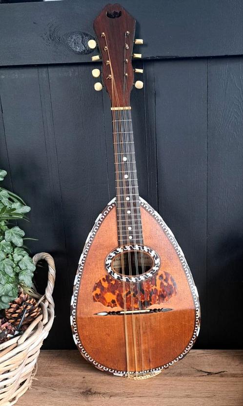 Mandolino Francesco Testori, Muziek en Instrumenten, Snaarinstrumenten | Mandolines, Gebruikt, Ophalen