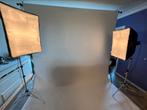 2 x SS-200F 🌟 professionele studioverlichting, Audio, Tv en Foto, Zo goed als nieuw, Ophalen