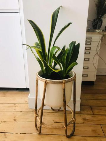 Joli pot de plante rotin et céramique boho vintage, Enlèvement
