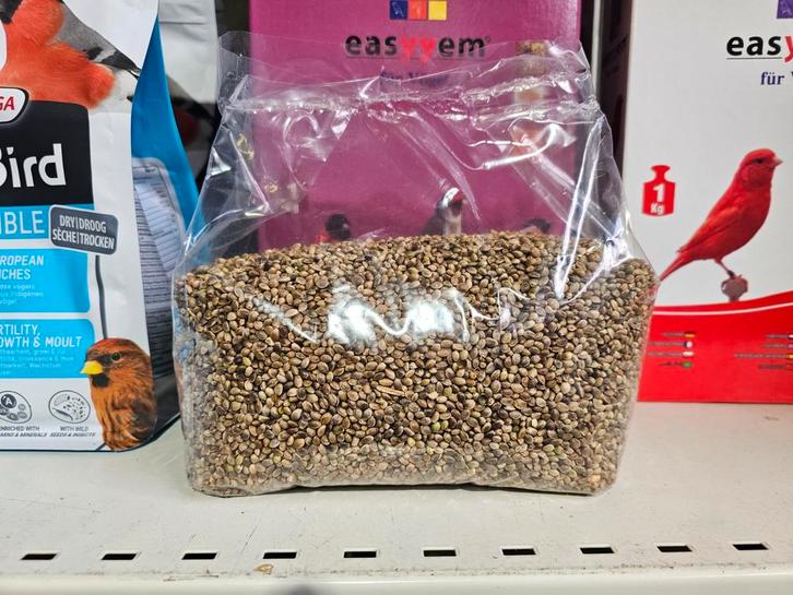 Graines de chanvre 1kg grammes, Animaux & Accessoires, Oiseaux | Accessoires, Enlèvement