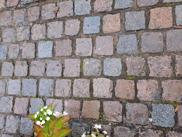Pavés / kasseien, Tuin en Terras, Tegels en Klinkers, Gebruikt, Ophalen
