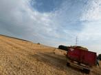 Kleine balen stro, Zakelijke goederen, Landbouw | Veevoer, Ophalen