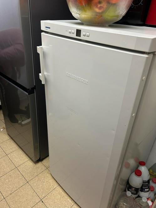 diepvriezer merk LIEBHERR COMFORT, Elektronische apparatuur, Vriezers en Diepvrieskisten, Zo goed als nieuw, Vrieskast, Ophalen
