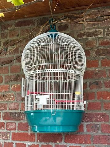 Decoratieve grote vogelkooi beschikbaar voor biedingen