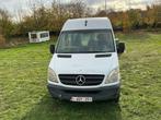 Mercedes-Benz 311CDI Minibus, Auto's, Bestelwagens en Lichte vracht, Automaat, Gebruikt, Overige brandstoffen, Mercedes-Benz