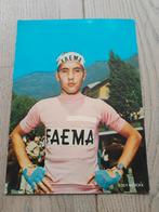 Grande carte postale ancienne d'Eddy Merckx, Collections, Comme neuf, Enlèvement ou Envoi