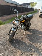 Brommer dax  b klasse rijd perfect, Fietsen en Brommers, Brommers | Honda, Ophalen, Gebruikt