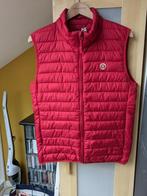 BODYWARMER KIWI - UNISEX - NIEUW, Kleding | Heren, Bodywarmers, Nieuw, Ophalen of Verzenden, Kiwi, Rood