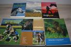 6 boeken over paarden ( waarvan 2 leesboeken ), Boeken, Dieren en Huisdieren, Ophalen of Verzenden, Zo goed als nieuw, Paarden of Pony's