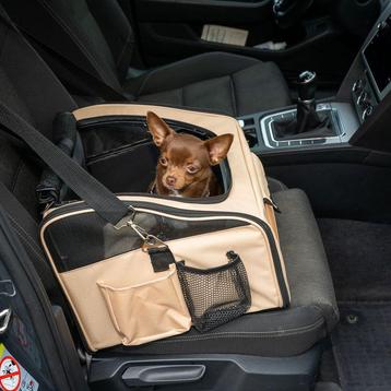 Autozitje hond beschikbaar voor biedingen