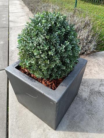 buxus kunstplant - 30cmx42cm (bxh) - 6 stuks disponible aux enchères