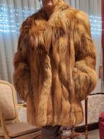 Bontjas rode vos, Kleding | Dames, Jassen | Winter, Ophalen, Maat 36 (S)