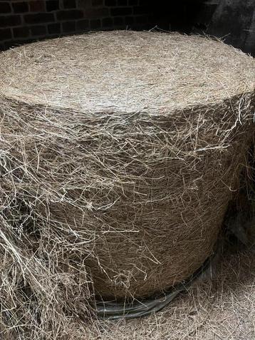 Ronde balen droog voordroog te koop, Zakelijke goederen, Landbouw | Veevoer, Ophalen