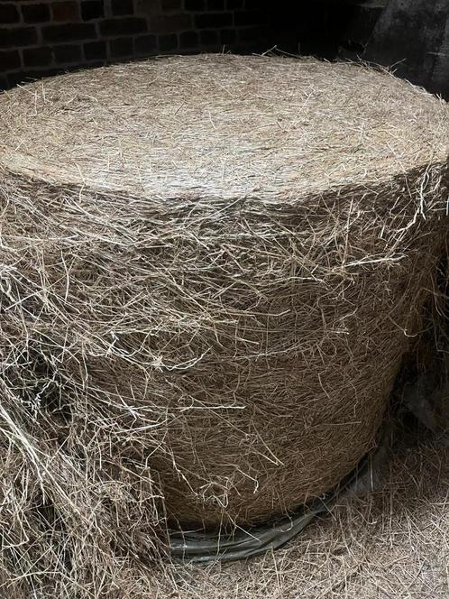 Ronde balen droog voordroog te koop, Zakelijke goederen, Landbouw | Veevoer, Ophalen