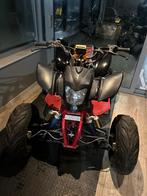 Bashan 200cc, Enlèvement, Utilisé