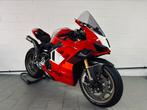 DUCATI PANIGALE V4R***2024***VOLLEDIG***DUCATI SAMBREVILLE, Motoren, Bedrijf, Sport, Meer dan 35 kW, 1000 cc
