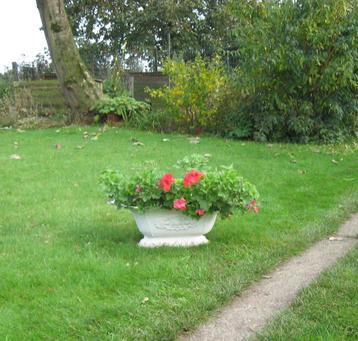 Oude zware ijzeren kolenbak (Bloembak) beschikbaar voor biedingen