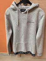 Pull à capuche Closure taille M, Gedragen, Maat 48/50 (M), Grijs