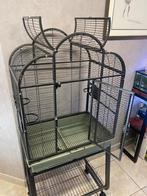 Cage pour perruches ou petits perroquets, Animaux & Accessoires, Oiseaux | Cages & Volières, Enlèvement, Métal, Cage à oiseaux