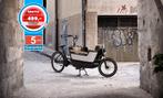 Royal Cargo Elektrsische Bakfietsen E-bike Arrow 2 Wieler, Enlèvement ou Envoi, Neuf