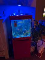 Zeeaquarium, Dieren en Toebehoren, Ophalen, Zo goed als nieuw