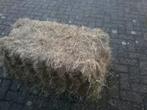 Kleine pakjes hooi, Dieren en Toebehoren, Ophalen of Verzenden, Vee