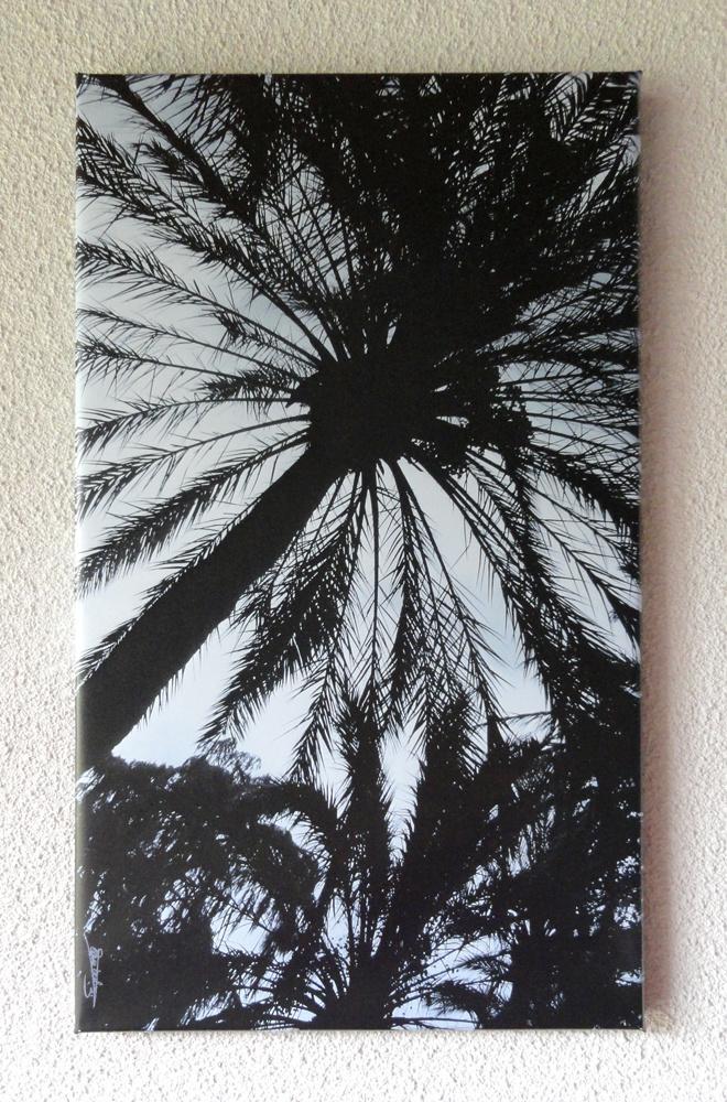 Photographie palmier Malaga contre-jour, Antiquités & Art, Art | Dessins & Photographie, Enlèvement