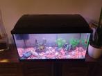 Aquarium L60xB30xH32 60liter, Animaux & Accessoires, Comme neuf, Enlèvement ou Envoi