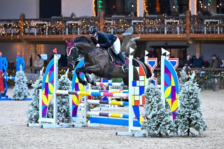 Knappe zwarte ruin, Dieren en Toebehoren, Paarden, Ruin, Niet van toepassing, Minder dan 160 cm, 7 tot 10 jaar, Springpaard, Gechipt