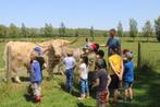 🎉 Anniversaire inoubliable avec rapaces et animaux 🦅, Ophalen, Nieuw