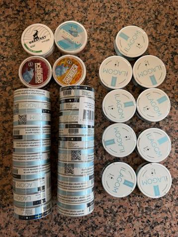 Snus Nicotinezakjes of zuigtabak beschikbaar voor biedingen