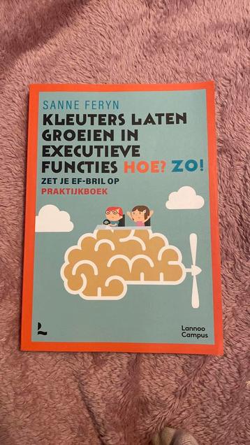 Kleuters laten groeien in executieve functies. Hoe? Zo! beschikbaar voor biedingen