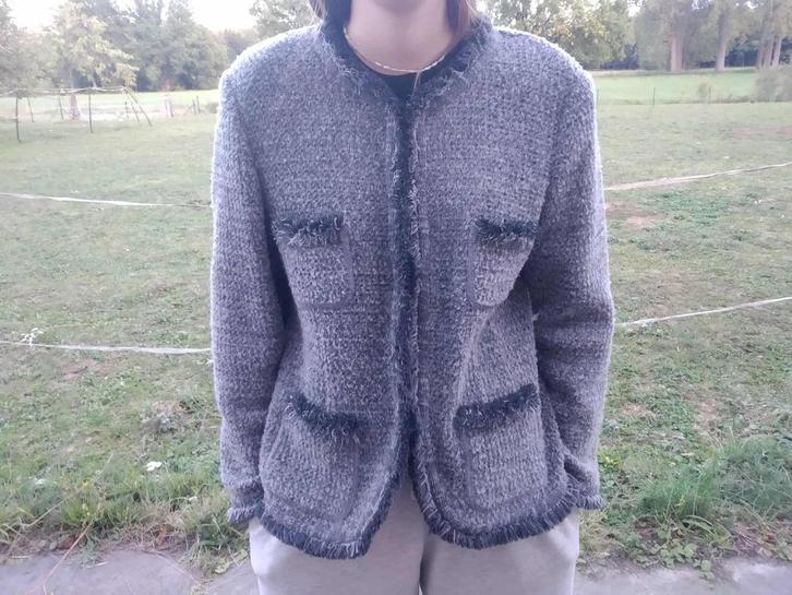 grijze warme vest kwaliteitsmerk Devernois maat 44, Kleding | Dames, Truien en Vesten, Gedragen, Maat 42/44 (L), Grijs, Ophalen of Verzenden