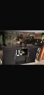 aguarium decoratie zant filter 150/50/65, Dieren en Toebehoren, Ophalen of Verzenden, Zo goed als nieuw