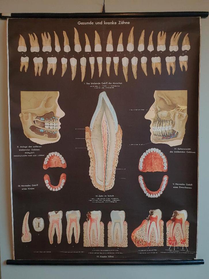 Rétro. Affiche de l'école. Dents, Maison & Meubles, Accessoires pour la Maison | Décorations murale, Utilisé, Enlèvement