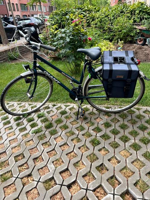 Damesfiets Giant Squadron, Fietsen en Brommers, Fietsen | Dames | Damesfietsen, Gebruikt, Giant, Versnellingen, 53 tot 56 cm, Ophalen