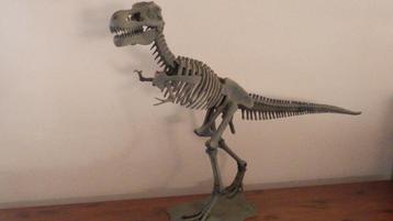Tyrannosaurus  beschikbaar voor biedingen