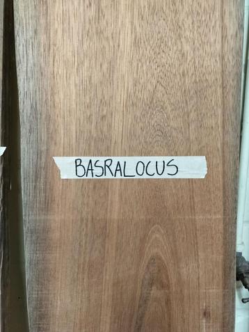Basralocus hardhout beschikbaar voor biedingen