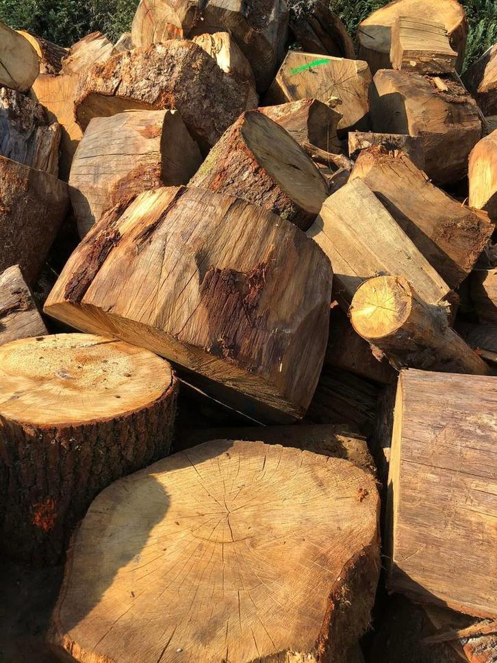 Kloofboomstammen van eiken en beuken, Tuin en Terras, Brandhout, Eikenhout, Ophalen of Verzenden