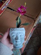 Boeddha met bloemetje, Enlèvement, Utilisé