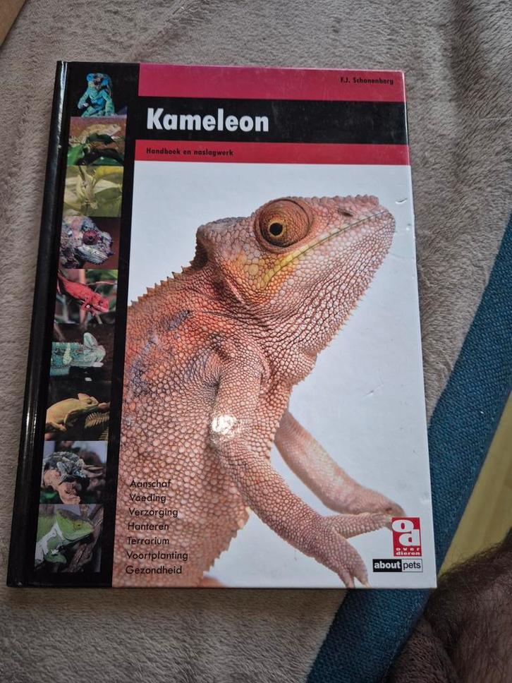 F.J. Schonenberg - Kameleon, Boeken, Dieren en Huisdieren, Ophalen of Verzenden