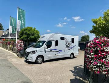 RENAULT MASTER 2.3 DCI MTM FILOVAN HENGSTENUITVOERING DUBBEL disponible aux enchères