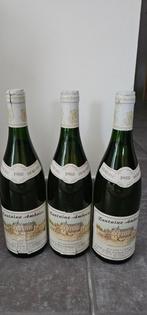 drie prachtige flessen Touraine Amboise Demi-Sec 1988 – een, Ophalen of Verzenden, Frankrijk